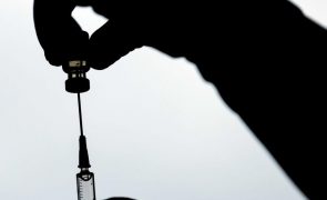 África CDC espera que açambarcamento de vacinas contra Monkeypox não se repita no continente