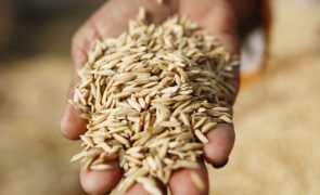ONU distribui arroz, com apoio da China, a crianças guineenses com necessidades especiais