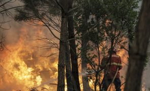 Vinte e nove concelhos de cinco distritos em risco máximo de incêndio