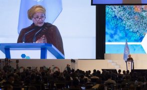 Nações Unidas querem que COP27 acelere financiamento energético em África