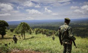 Ataque de rebeledes ugandeses provocam 21 mortos e desaparecidos na RDCongo