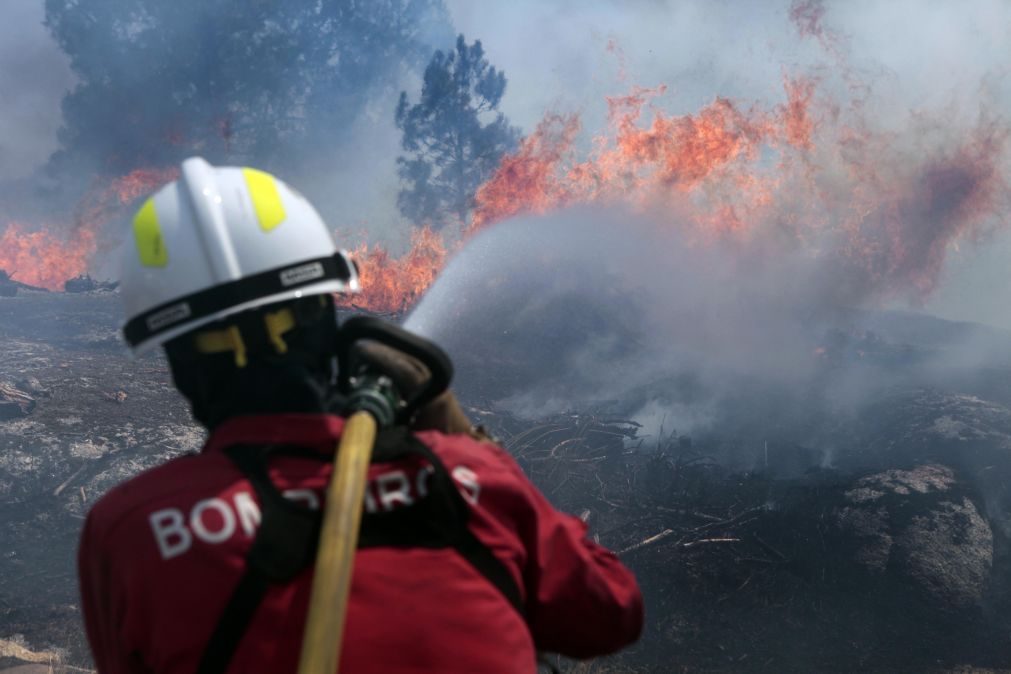 ALERTA INCÊNDIOS | Três fogos em Santarém mobilizam mais de 400 bombeiros