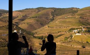 Douro apresenta candidatura conjunta a Cidade Europeia do Vinho 2023