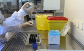 Casos de varíola dos macacos em Portugal aumentam para 119