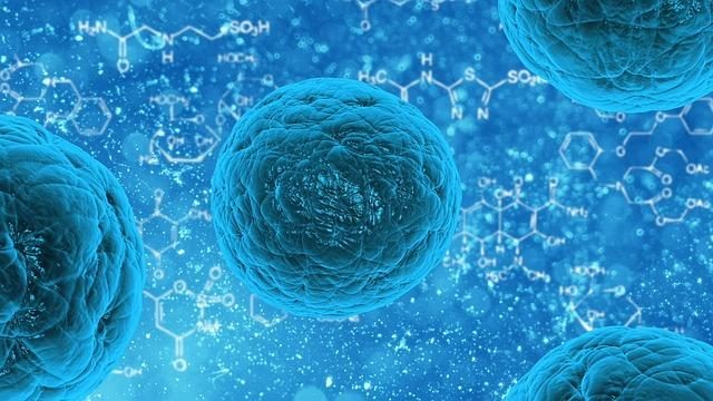 Descoberta proteína responsável pelo desenvolvimento das células T