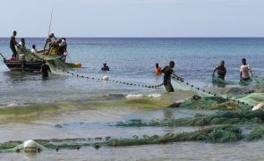 Moçambique/Ataques: Insurgência e pandemia arruínam famílias de pescadores em Cabo Delgado