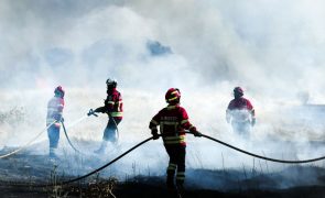 Treze concelhos de quatro distritos em perigo máximo de incêndio