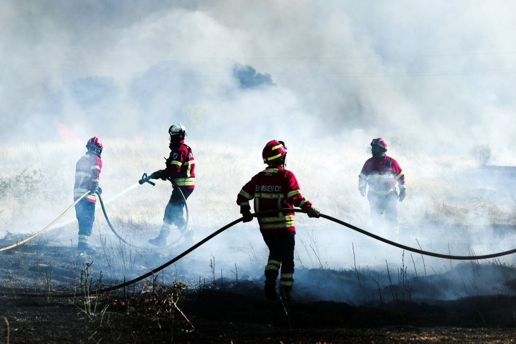 Treze concelhos de quatro distritos em perigo máximo de incêndio
