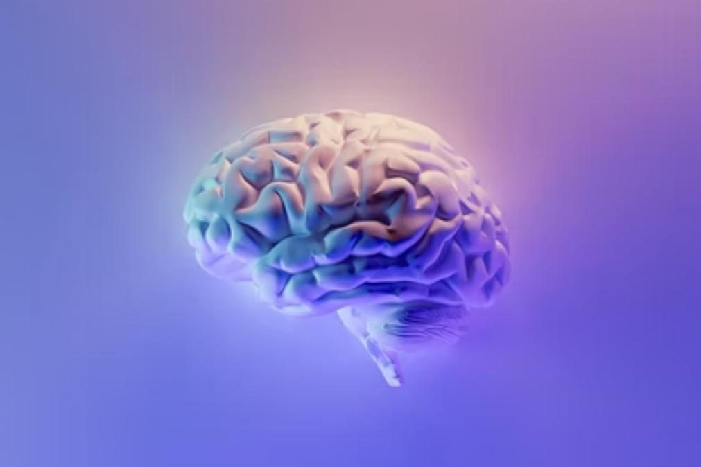 Quais os mecanismos cerebrais envolvidos na persuasão?