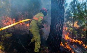 Catorze concelhos de cinco distritos do país em perigo máximo de incêndio