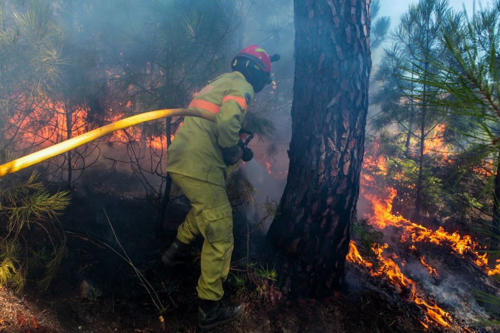 Catorze concelhos de cinco distritos do país em perigo máximo de incêndio
