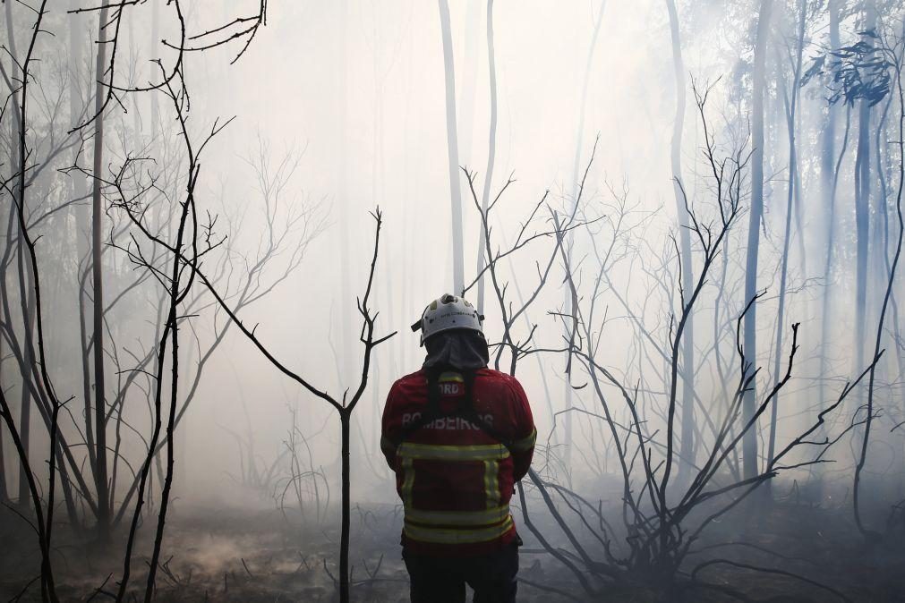 Cerca de 60 concelhos do país em perigo máximo de incêndio