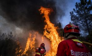 Quatro meios aéreos e 100 bombeiros combatem chamas em Alcácer do Sal