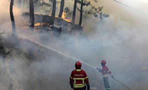 Cerca de 60 concelhos de oito distritos do país em perigo máximo de incêndio