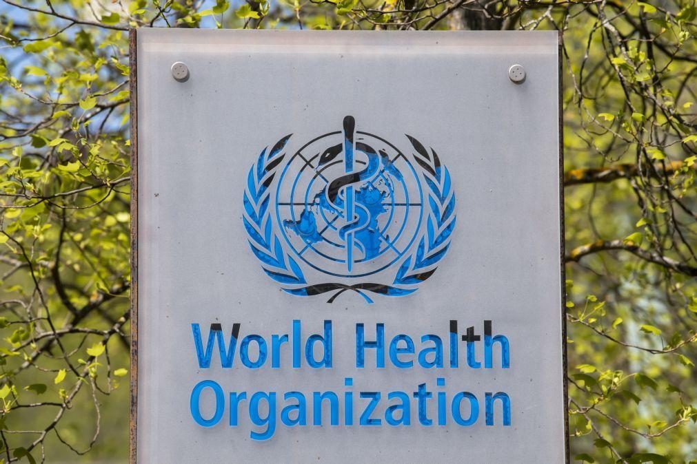 OMS avalia varíola dos macacos é emergência internacional de saúde pública