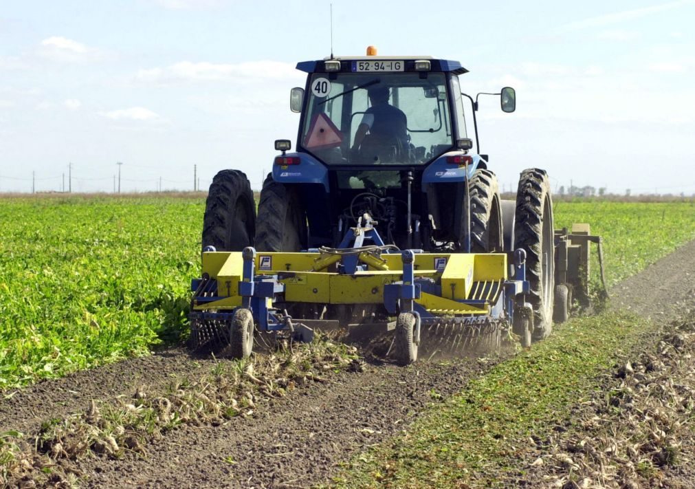 Jovens agricultores portugueses querem reforçar aposta na agricultura moçambicana