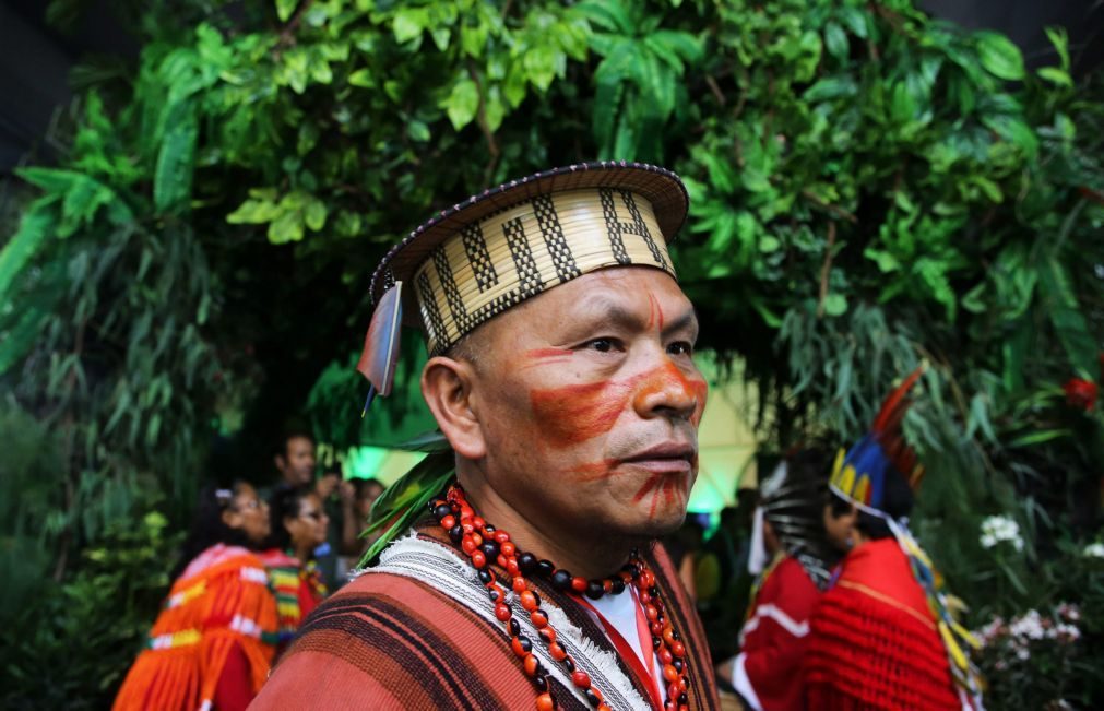 Tribunal brasileiro suspende decreto do governo a extinguir reserva na Amazónia