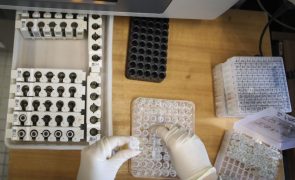 Portugal com 241 casos confirmados de varíola dos macacos