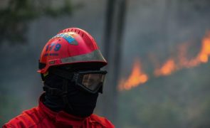 Dezoito concelhos de quatro distritos em perigo máximo de incêndio