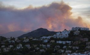 Espanha enfrenta onda de calor e incêndios que já queimaram mais de 13 mil hectares
