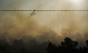 Incêndios: Chamas em Santarém e Castelo Branco combatidas por dez meios aéreos