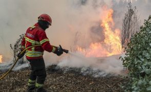 Tavira é o único concelho do país em perigo máximo de incêndio