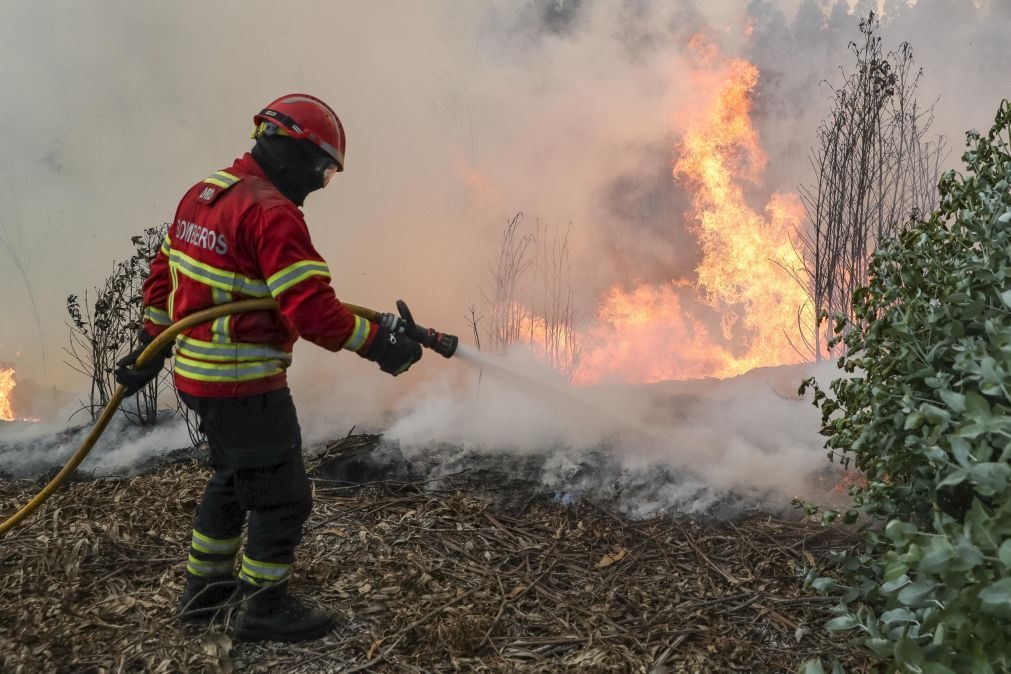 Tavira é o único concelho do país em perigo máximo de incêndio