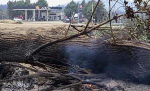 Incêndios: Chamas circunscritas em Zamora no maior fogo da década em Espanha