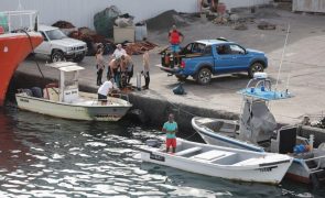 Mergulho em Cabo Verde ameaçado por efeito da pesca excessiva na vida marinha