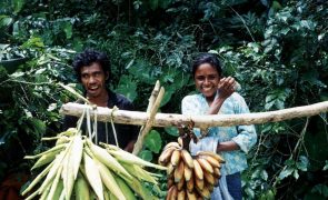 Diáspora timorense pode apoiar diversificação da economia -- ministro Finanças