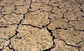 Distritos a Norte em seca severa ou extrema e sem 