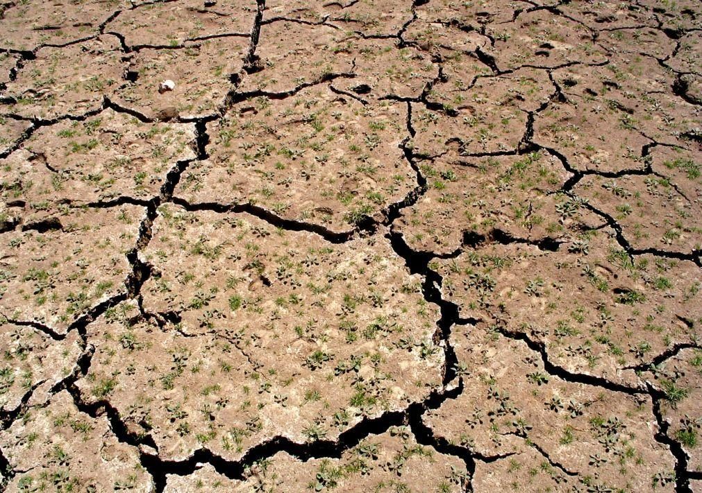 Distritos a Norte em seca severa ou extrema e sem 