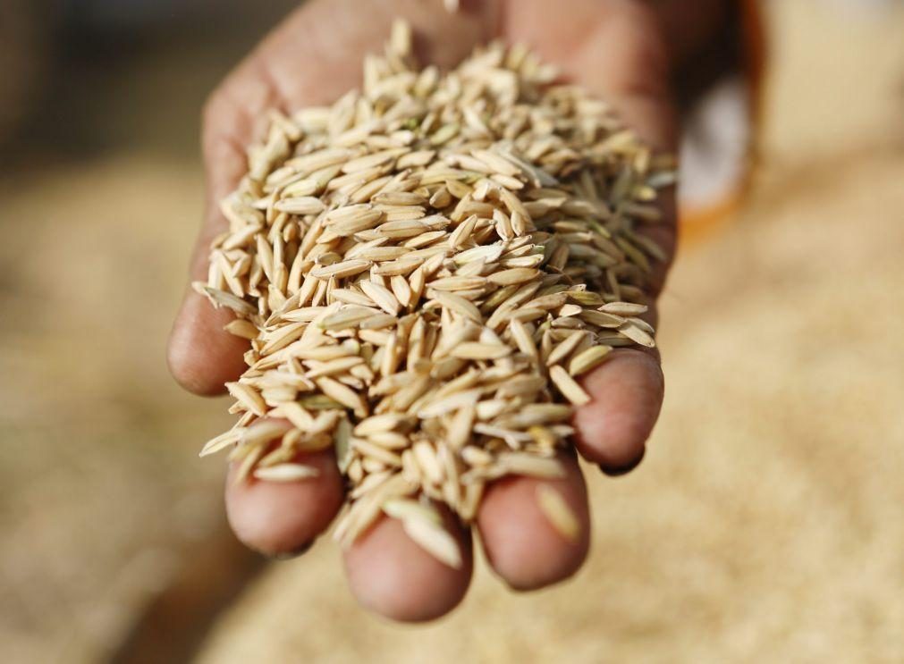 Área de arroz recua 5% e produção de batata, cereais, cereja e pêssego cai 10% a 15%