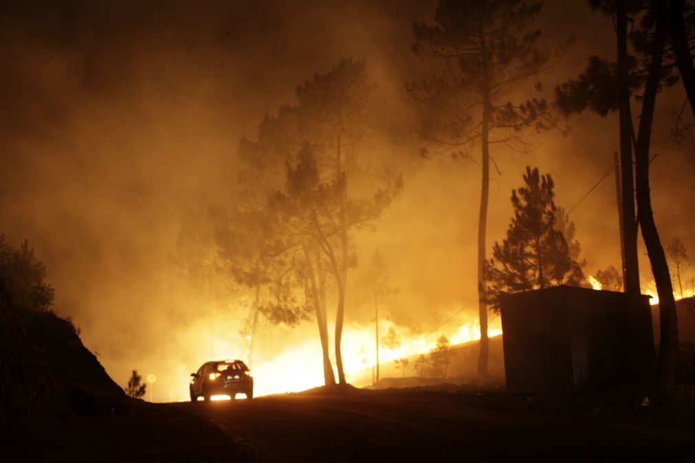 Os seis maiores incêndios foram responsáveis por quase metade da área ardida em Portugal