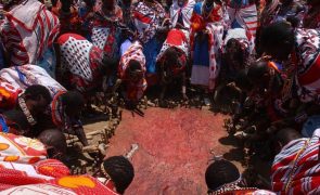 Massai pedem à ONU que Tanzânia não os expulse para criar reserva