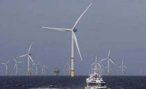 EDP vai investir 1.500 ME em eólica 'offshore' até 2025 (C/ÁUDIO)