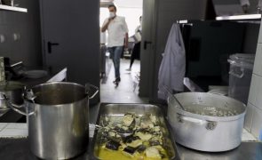 Mais de 50 'chefs' e 13 estrelas Michelin em festival internacional em Lisboa