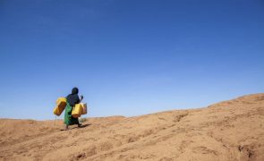 Disputas por água e alterações climáticas são causa de guerras em África -- SG ONU