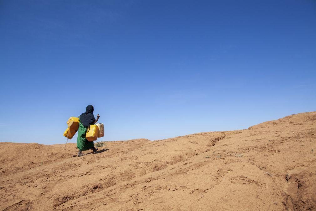 Disputas por água e alterações climáticas são causa de guerras em África -- SG ONU