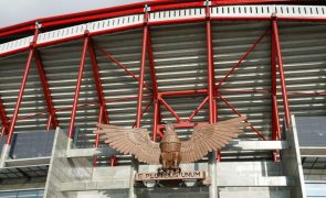 Benfica inicia trabalhos com grupo alargado a reforços e muita formação