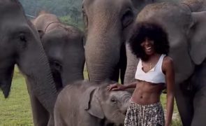 Megan Milan, a modelo que acaba despida ao tentar tirar foto com elefante