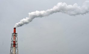 Cerca de 10% dos cancros da Europa estão ligados à poluição
