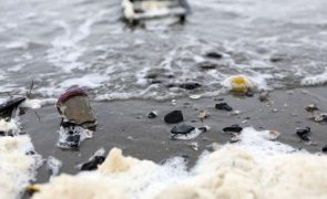 Oceanos: ONU promete recuperar um bilião de dólares perdidos por má gestão
