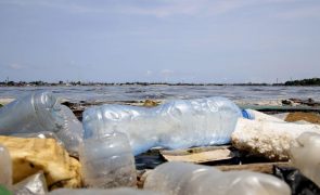 Combater pesca ilegal e plástico são prioridades - Japão